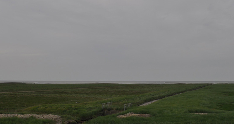 Kwelders microrelief waddenzee